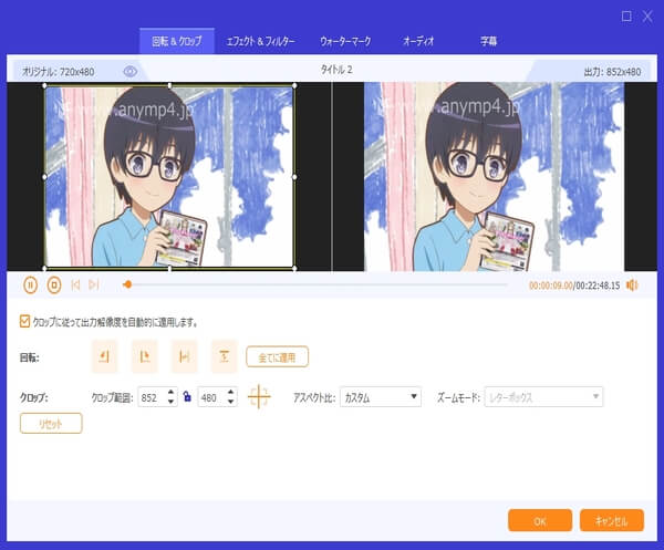 DVD効果を編集