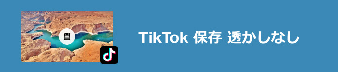 tiktok 保存 idなし