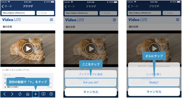 Vine動画をダウンロード